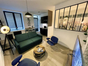 Hypercentre de Vienne appartement contemporain proche LYON